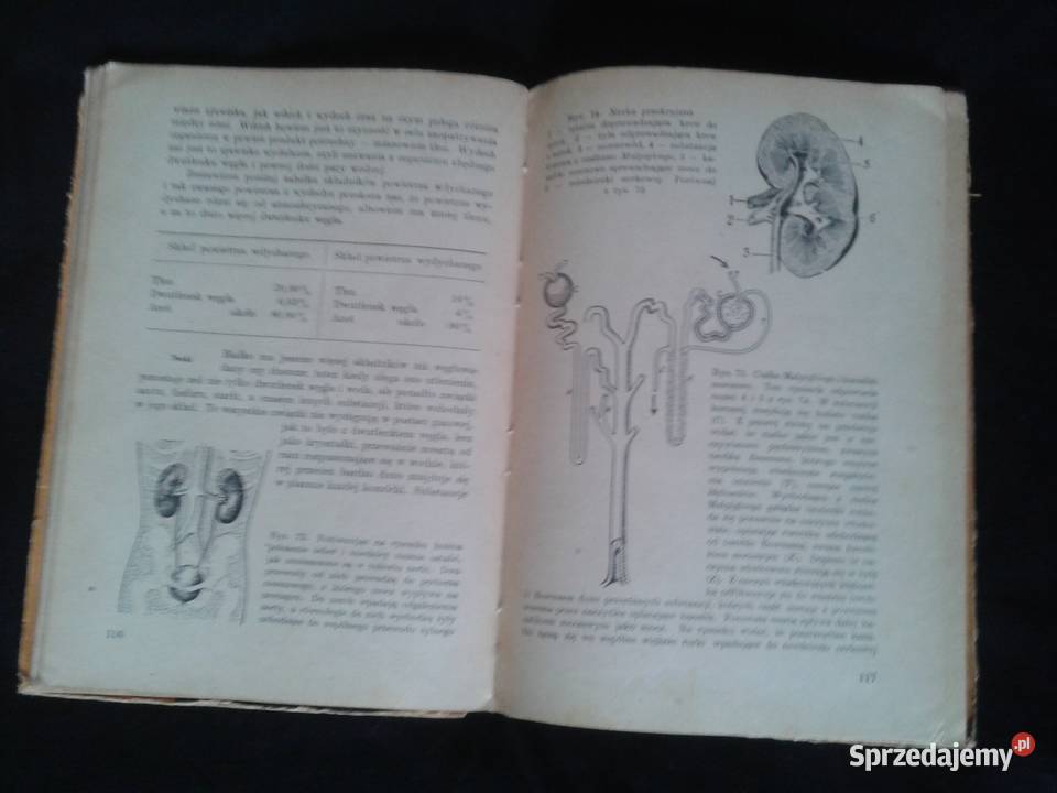 Nauka o człowieku klVII 1962r autorzyJWernerowa łódzkie Łódź