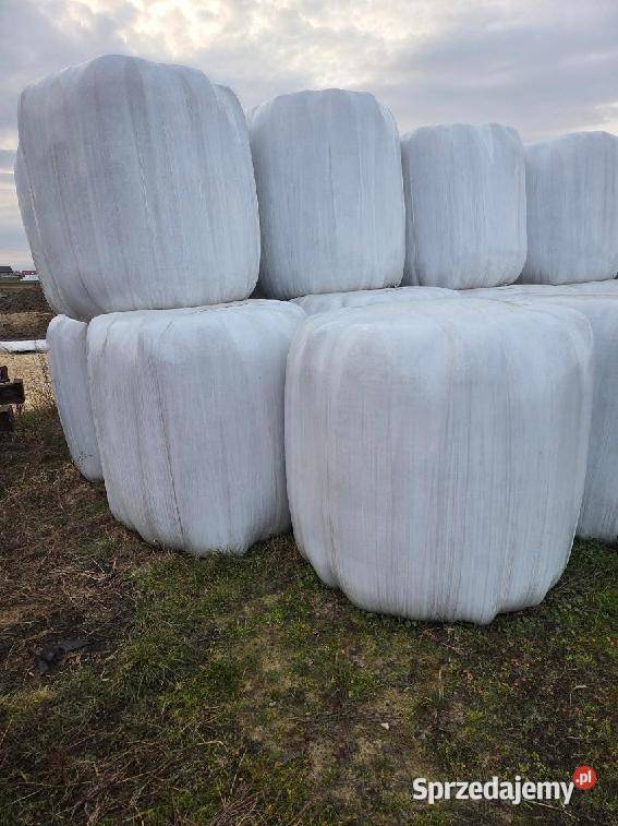 Sianokiszonka 1 i 2 pokos Szczekociny