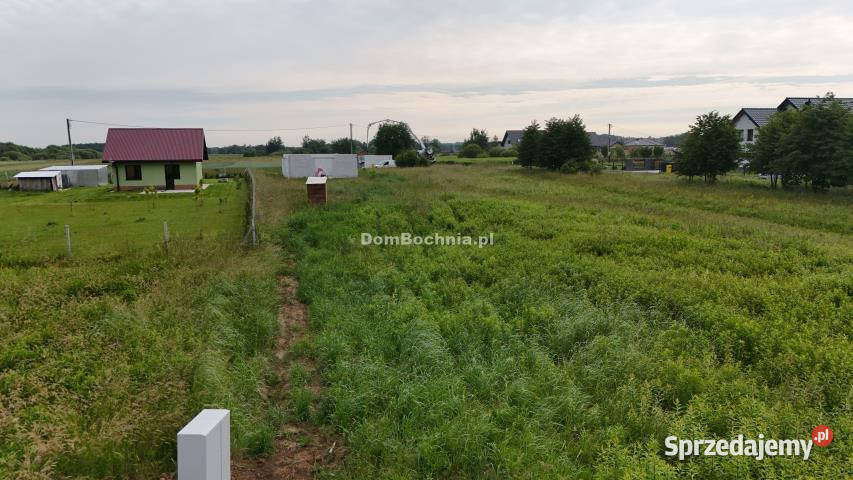 Grunt Krzeczów 2000m2
