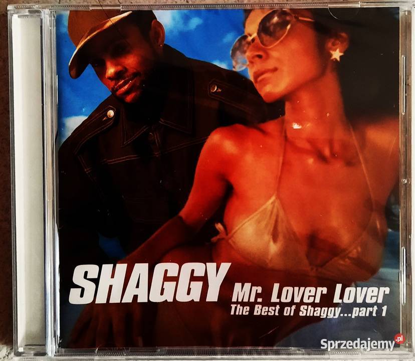 Wspaniały Album Cd THE CORRS Album In Blue CD Katowice