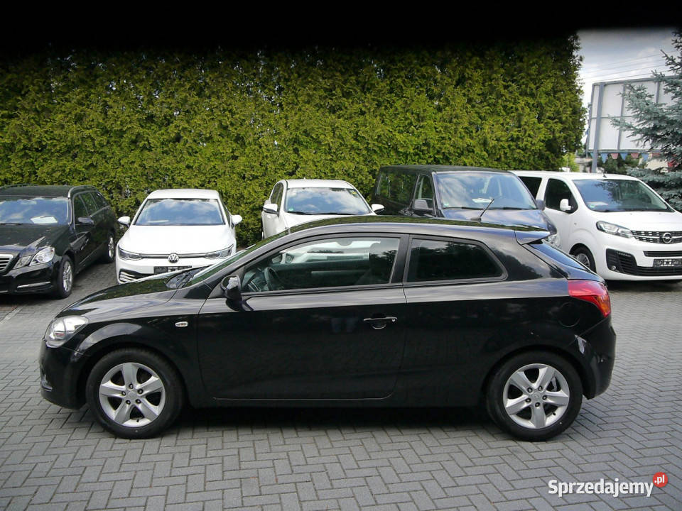 Kia Pro Ceed 14b zwykły silnik Stan b śląskie Częstochowa
