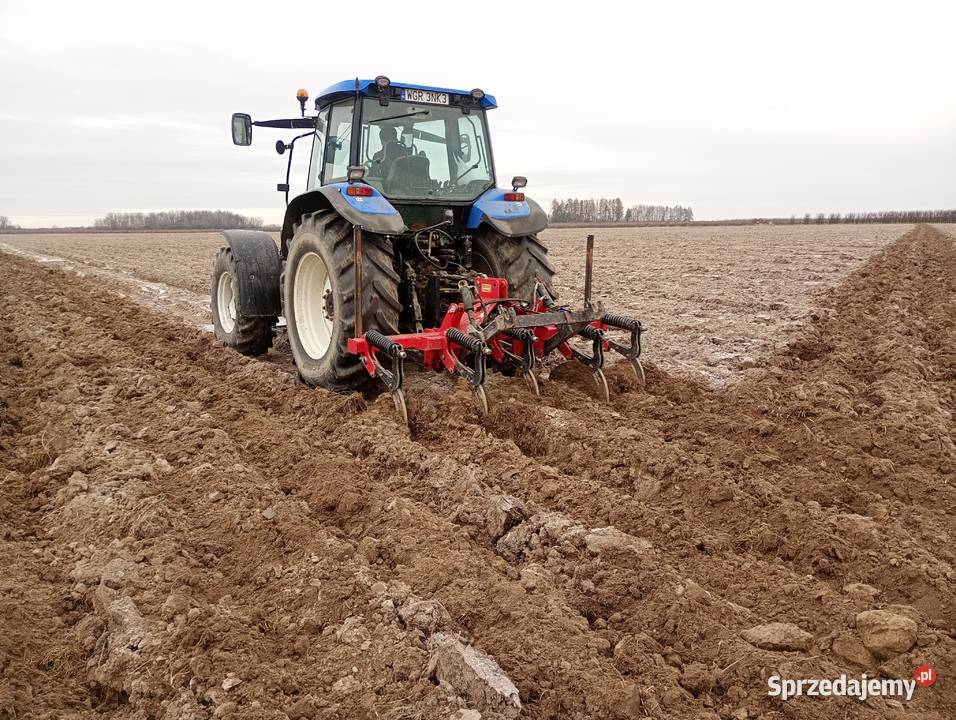 Oranie uprawa uslugi rolnicze przysucha Przytyk Rusinów