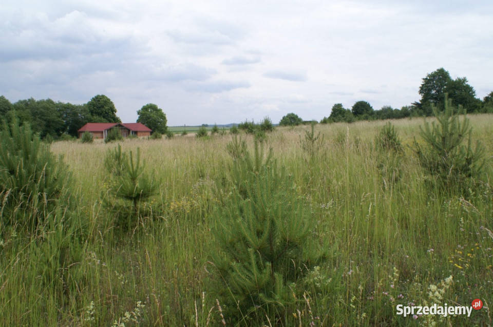 Działka 64 190 m Piaseczno 24zł/m2