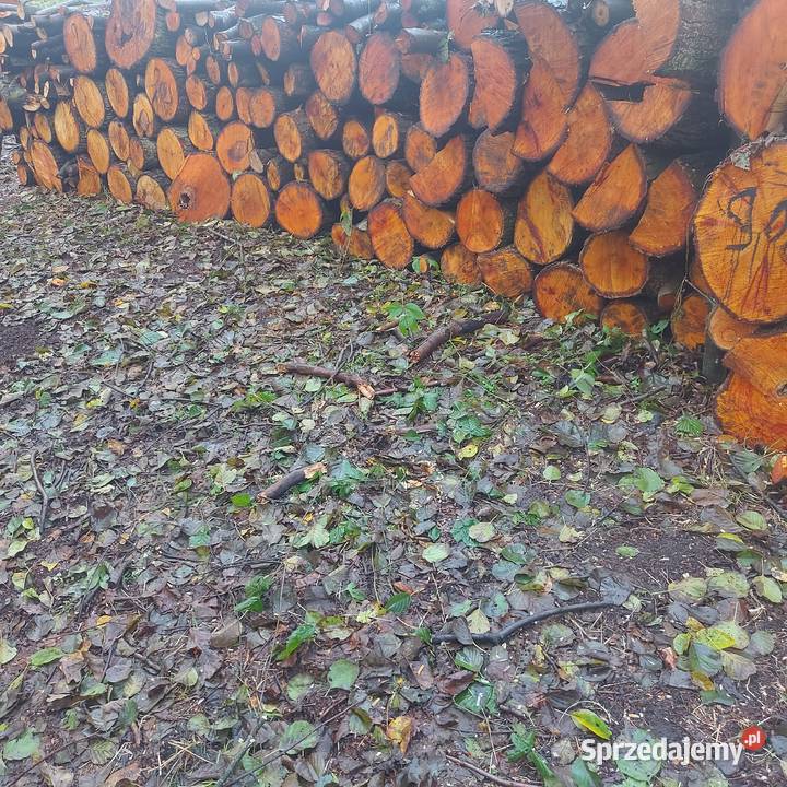 Olcha Kominkowe opalowe do wędzenia dolnośląskie Legnica sprzedam