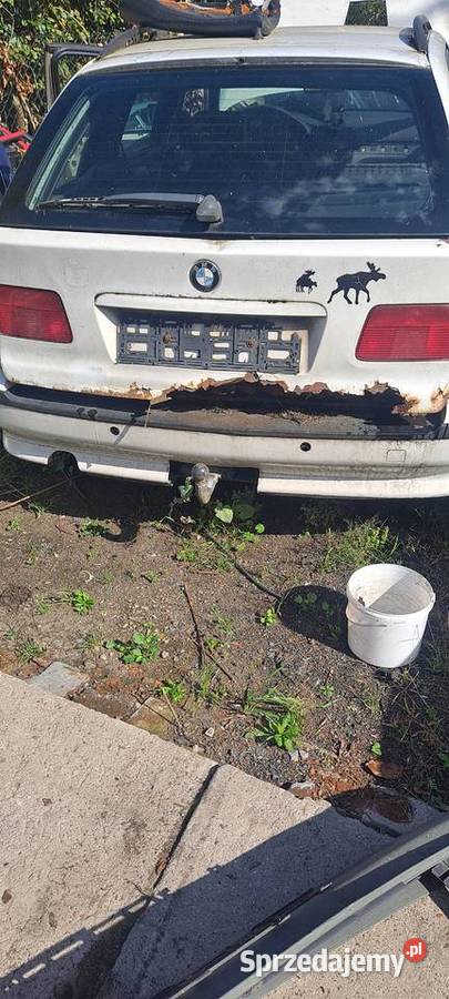 BMW E39 30 D sprzedam części osobowe Sulechów