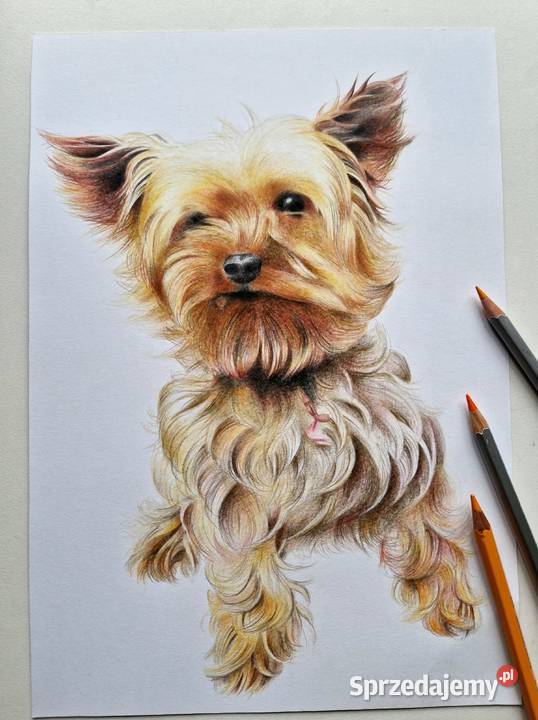 Portret w kolorze na zamówienie prezent rysunek Kraków