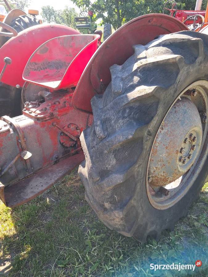 Massey ferguson Gniewkowo