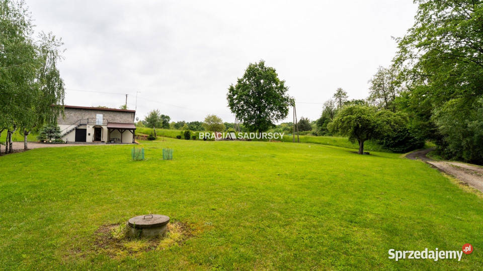 Działka 4700m2 Łazany 82zł/m2 Sprzedaż małopolskie sprzedam