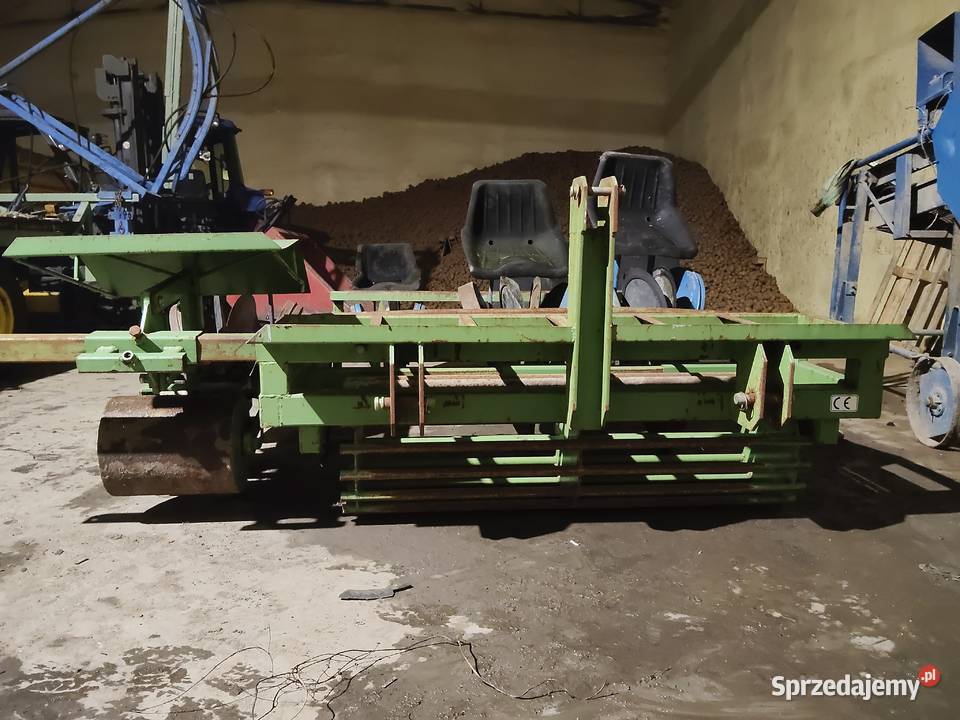 Sadzarka wielkopolskie Gołuchów