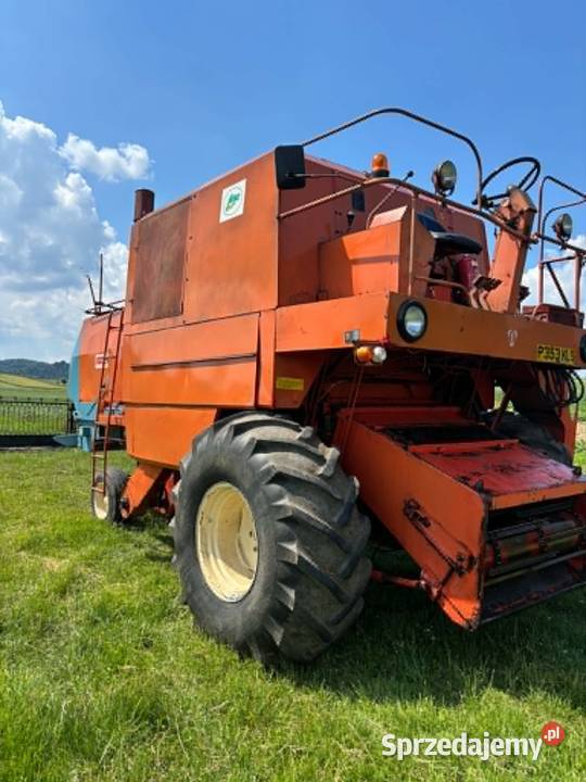 Bizon Super Z056 Wolbrom
