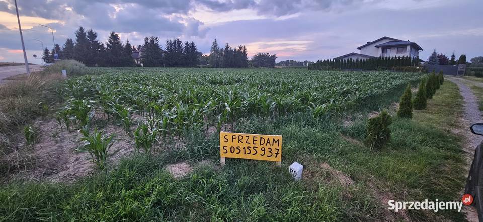 Zemborzyce Dolne 1 Gmina Konopnica Zalew dojazd Sprzedaż sprzedam
