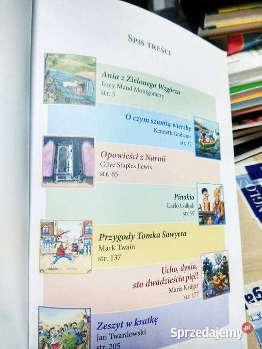 Nasze lektury szkolne 4 wypisy Siedmioróg Warszawa