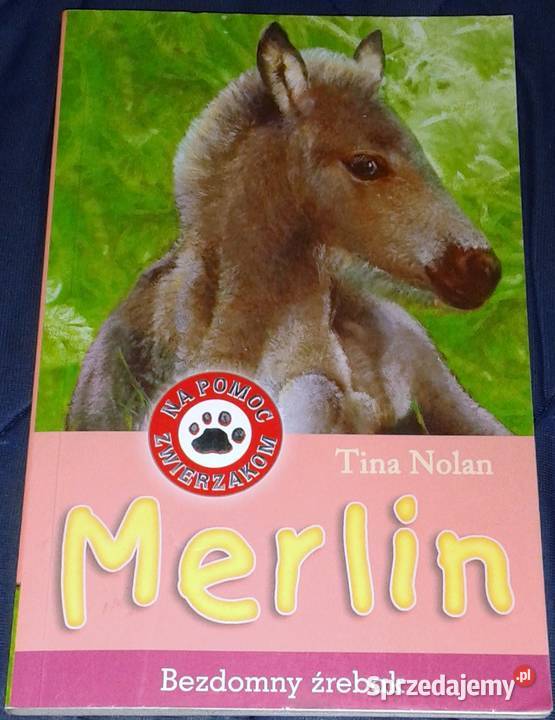 Merlin Bezdomny źrebak Tina Nolan miękka Chełm