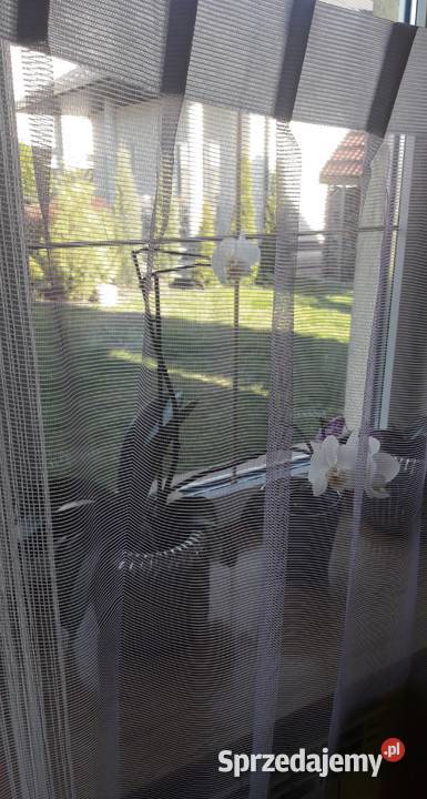 Wrzosowa siateczka z koralikami 95 x 98 gotowa mazowieckie Radom