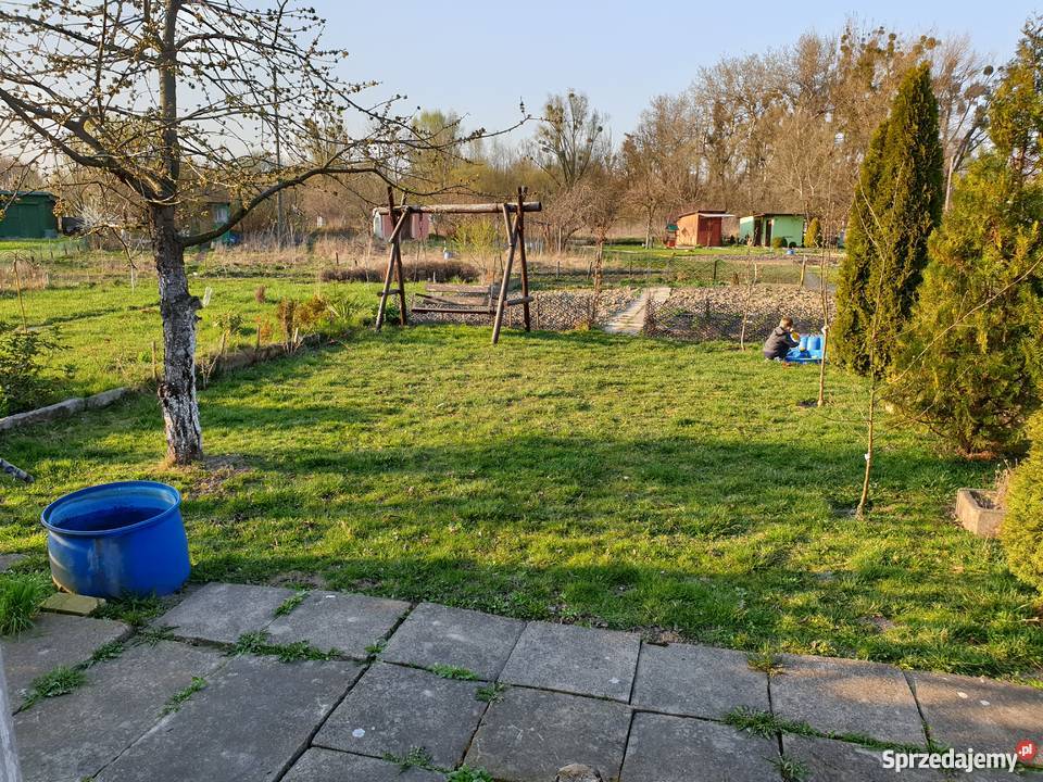 Działka ROD rekreacyjna ogrodowa Malbork