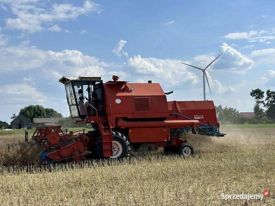 bizon rekord z058 Piotrków Kujawski