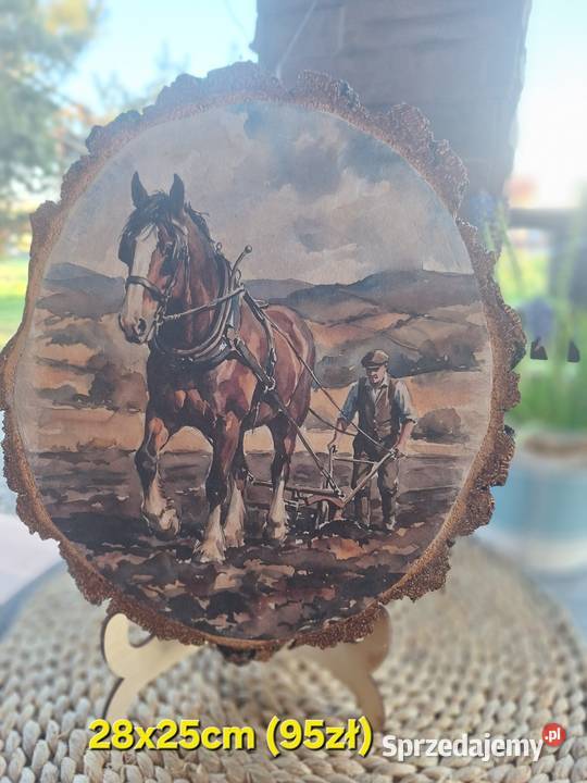 Obraz na drewnieoracz