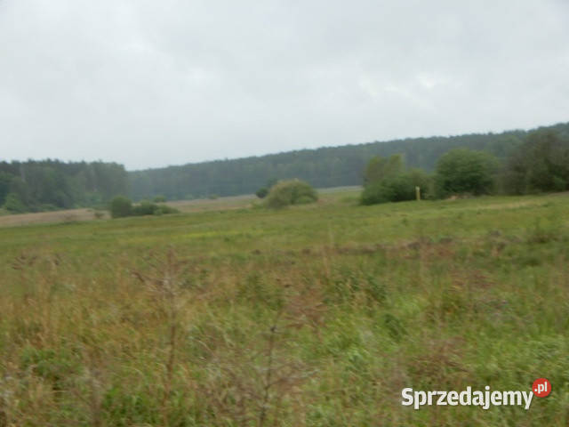 Syndyk sprzeda udział 18 Oborzany działki 240