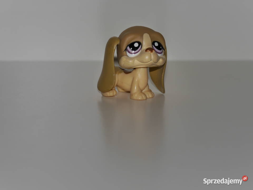 Hasbro Littlest Pet Shop kolekcjonerska figurka dolnośląskie