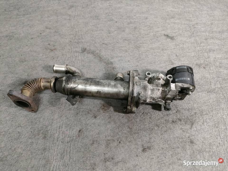 Citroen Peugeot Fiat chłodnica spalin zawór egr wielkopolskie Swarzędz