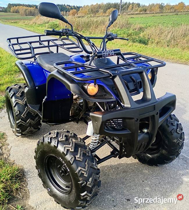 Quad 250 4 WSTECZNY Pozostałe Jasło