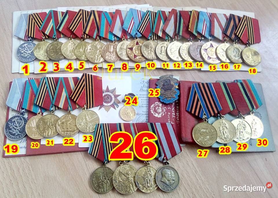 Medal Odznaczenie Order Krzyż Zasługi Sosnowiec