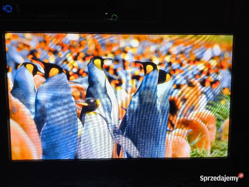 Telewizor Samsung 50 OKAZJA