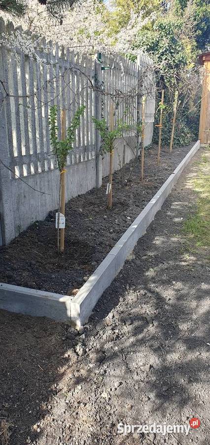 Układanie kostki brukowej do kontaktu Obrzeża i palisady