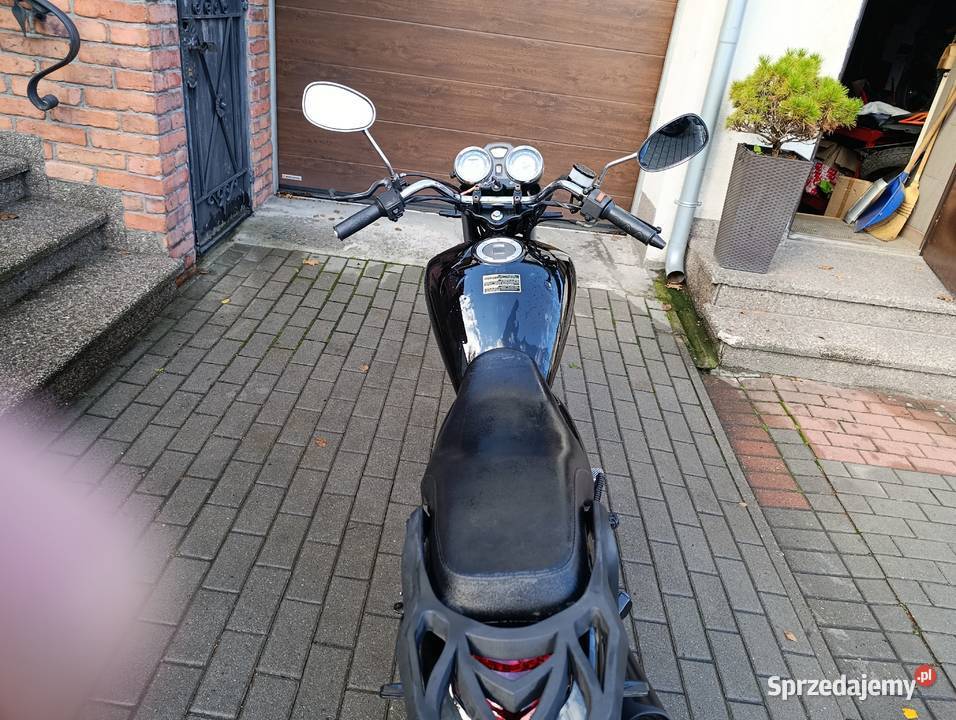 Torq Windstar 50125 Transport 50cm3 Wyrzysk