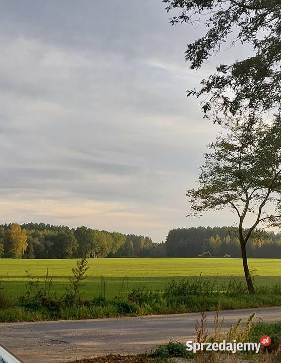DZIAŁKA BUDOWLANA 1005 m WĘGROWO k GRUDZIĄDZA Grudziądz