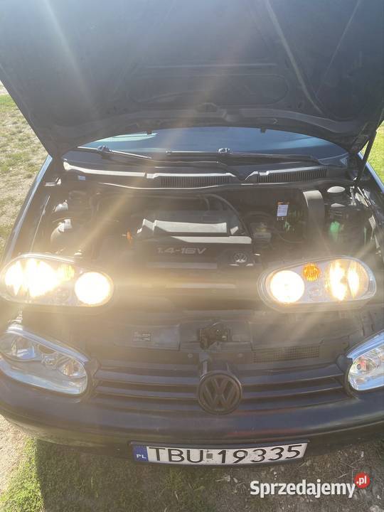 Lampy przednie golf 4 Busko-Zdrój sprzedam