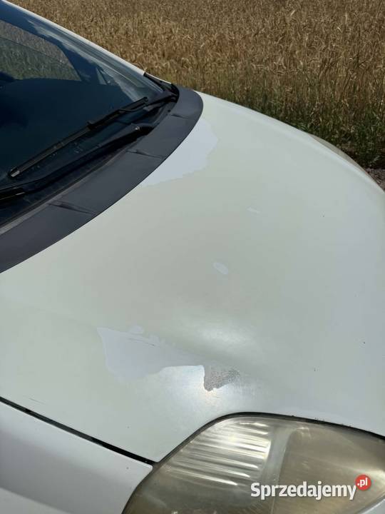 Fiat Grande Punto świętokrzyskie Kielce