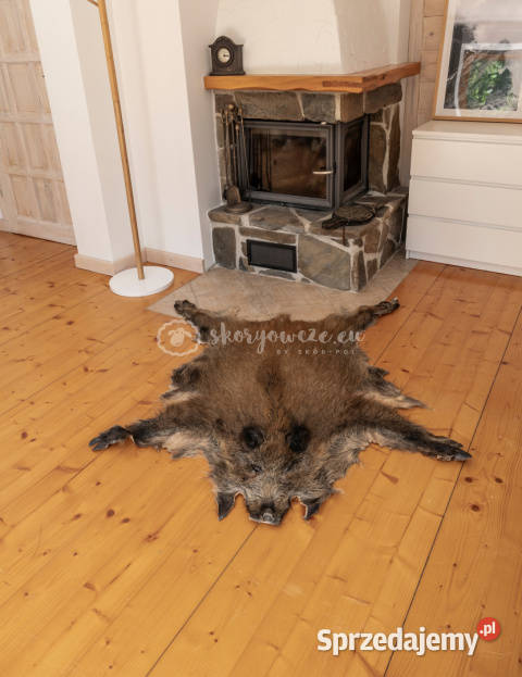 Dzik dekoracyjny skóra z dzika na podłogę skóra Szaflary