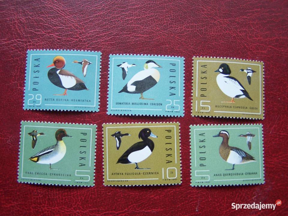 Polska 1985 MNH Mi 299803 Fauna Ptaki Kaczki