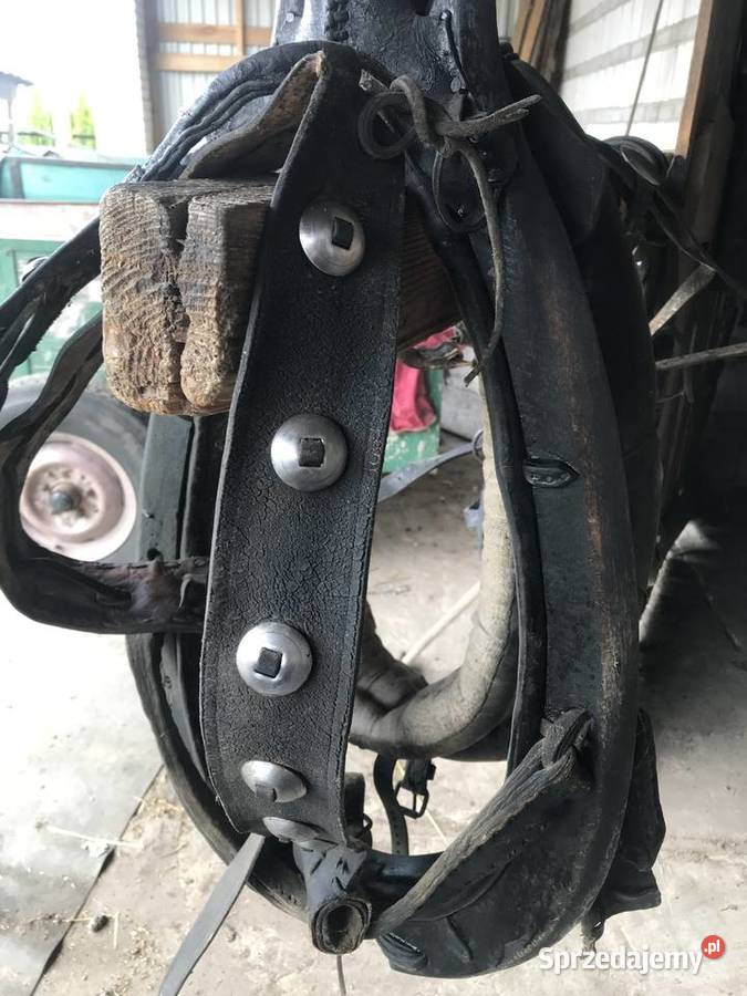 Chomąto i uprząż konia Dla koni sprzedam