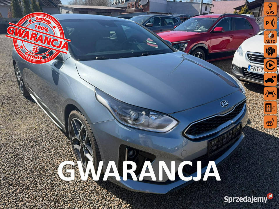 Kia Pro Ceed navi klimatronic gwarancja Rok produkcji 2019 Zbąszyń