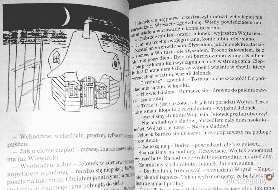 Najwyższa góra Mieczysława Buczkówna