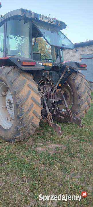 Traktor ciągnik Massey Ferguson Łosice sprzedam