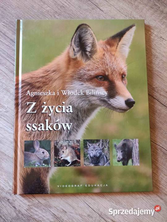 Książka "Z życia ssaków" Agnieszka i Włodek Bilińscy Rzeszów