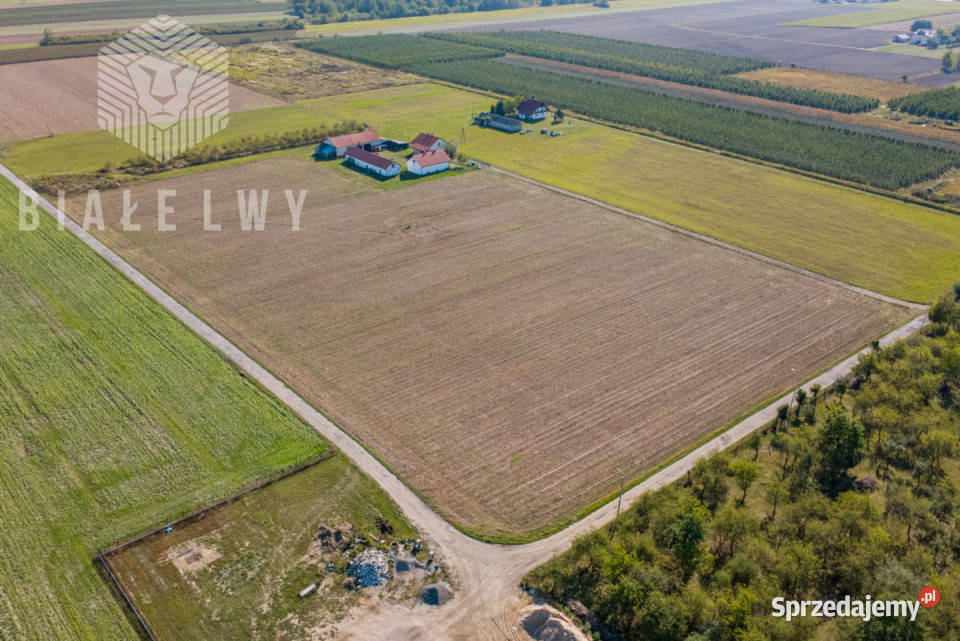 Grunt 1000m2 Prażmów mazowieckie
