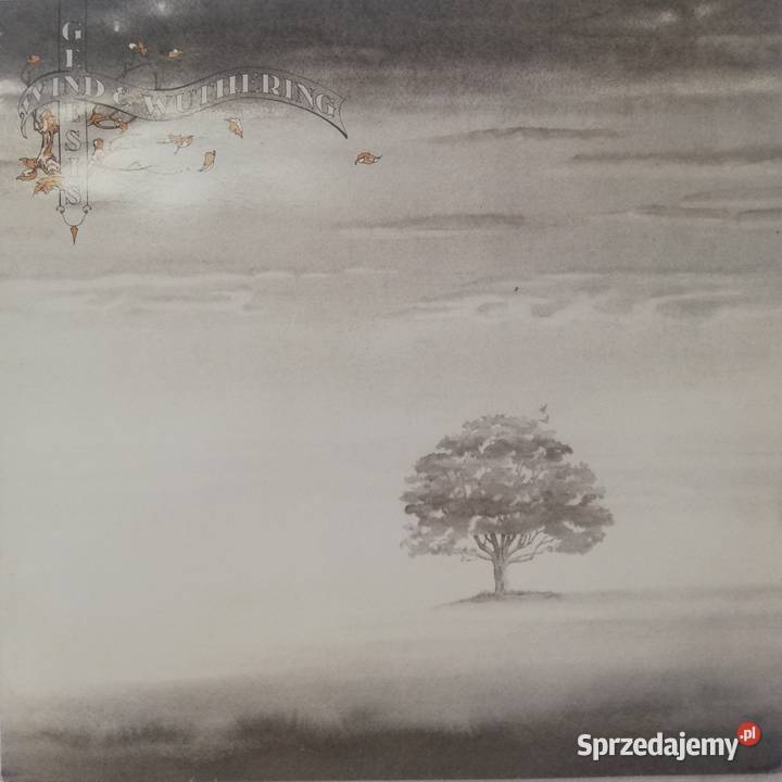 Genesis Wind and Wuthering płyta winylowa