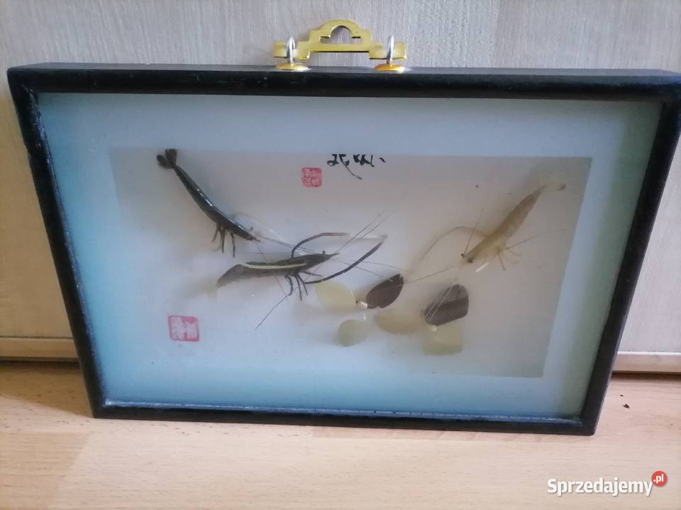Dekoracyjny obraz Krewetki z a szkłem Japan Kraków