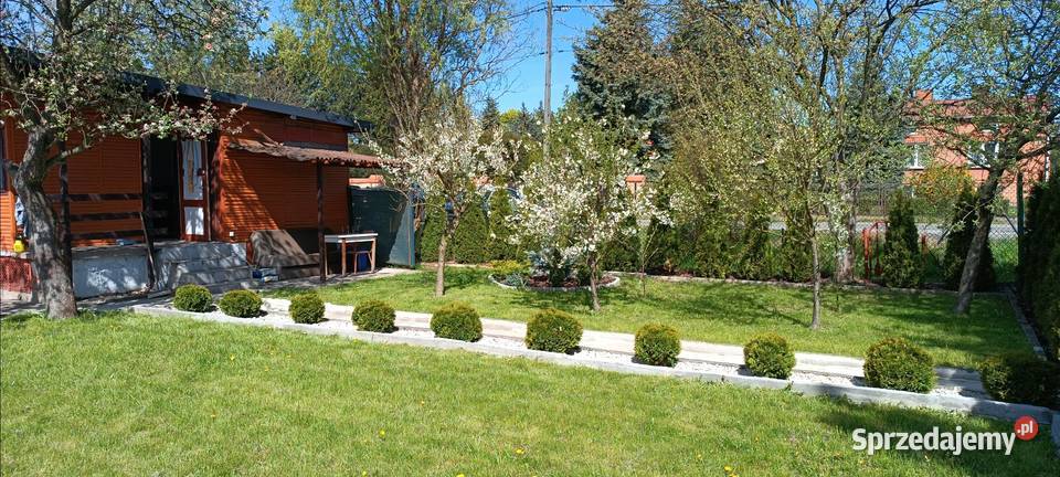 Działka rekreacyjna ROD Piotrków Trybunalski