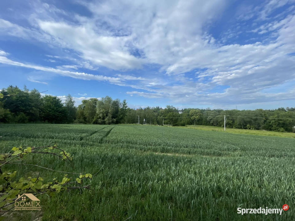 Ziemia 6835m2 Cieszyn