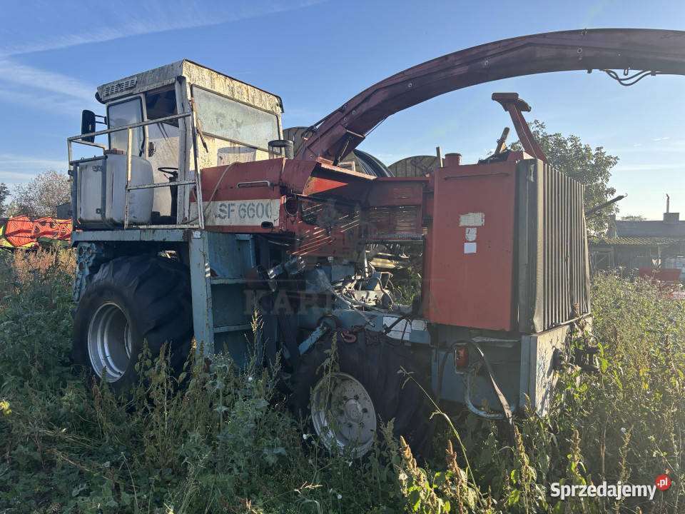 Mengele SF6600 SF 6600 sieczkarnia polowa NA Jastrzębniki
