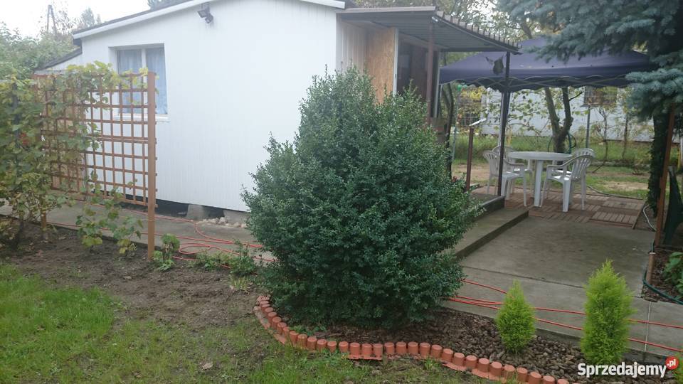 Działka rekreacyjna ROD Tęcza Złotniki prąd sprzedam