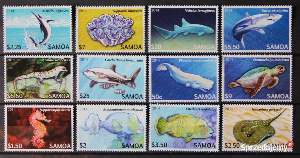 Samoa fauna morska 2014 rok