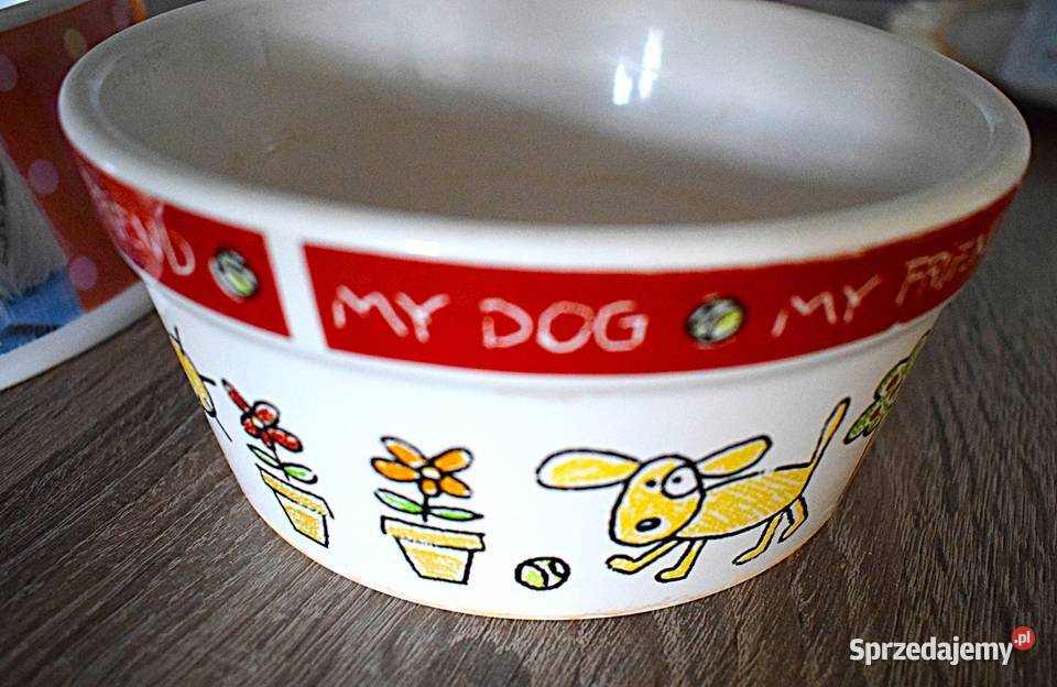 Dwie kolorowe miski pieska Chełmno