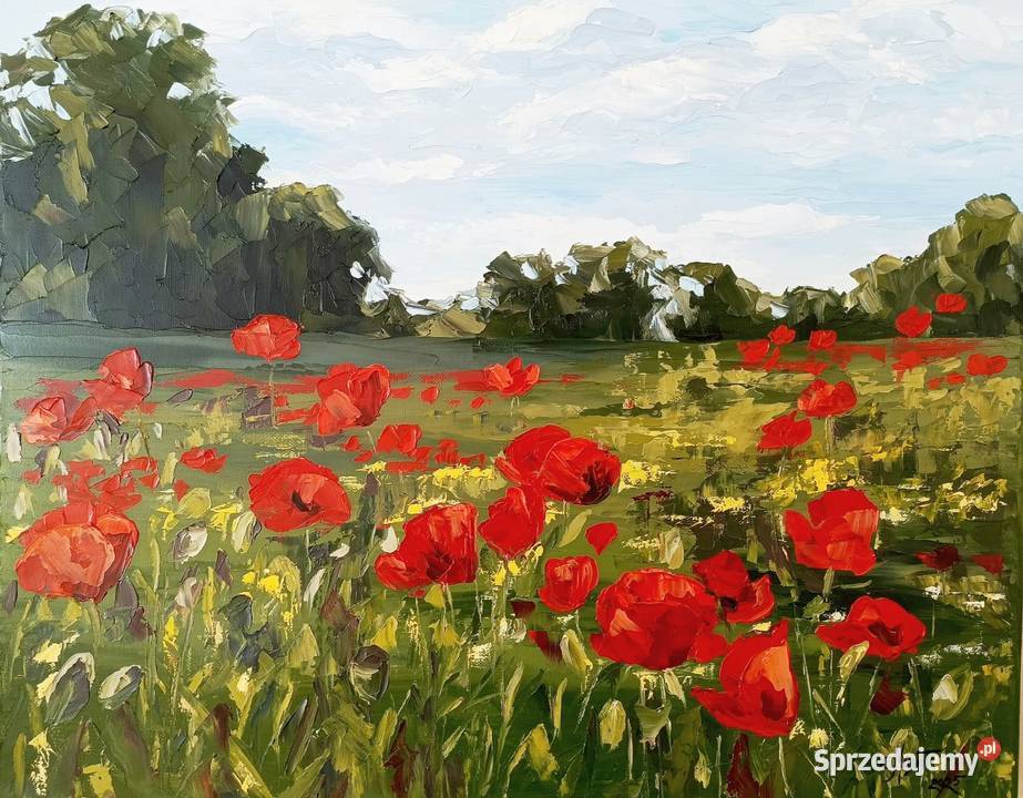 Obraz olejny maki łąka kwiaty pejzaż Łęki Strzyżowskie sprzedam
