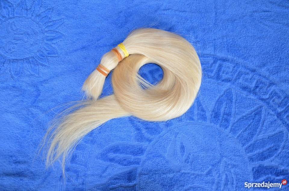 Włosy słowiańskie i dziewicze 114 g 65 Wrocław sprzedam